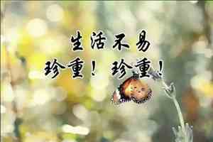 神爱世人 下一句是啥来着