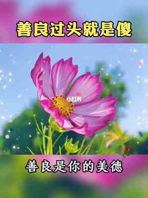 德行看人品的句子