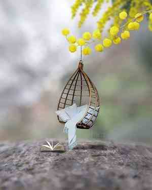 人品的经典句子简短图片