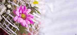 努力不负好时光的唯美句子