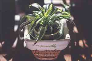 富有哲理而又唯美的现代诗20行