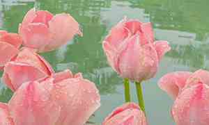 希望疫情结束的暖心话简短