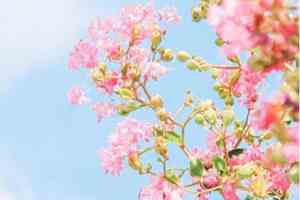 关于人心很现实的一段话配图