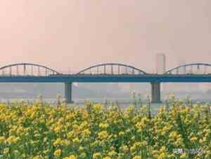 介绍一种美食50字左右饺子