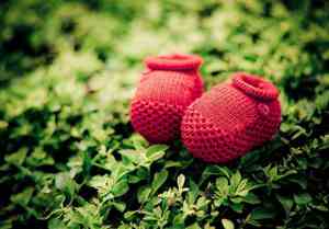 美丽的颜色批注赏析