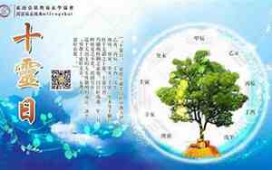 十灵日十灵时出生几率