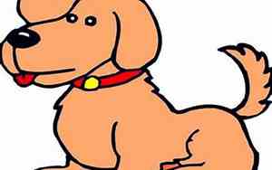 狗年几点出生的人命好