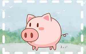 属猪那个月出生最好