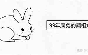 属兔人的最佳婚配属相
