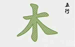 五行中属木的字