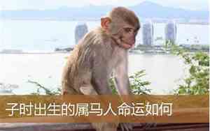 马出生子时