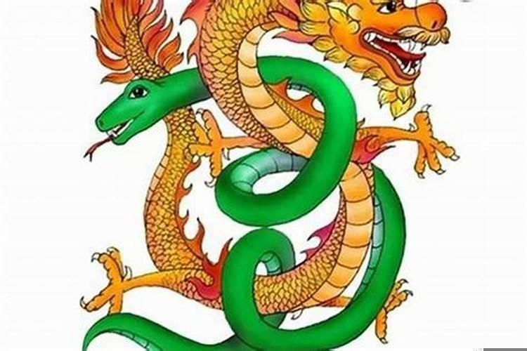 男属蛇和女龙相配婚姻如何？女属蛇合男属龙合婚吗好吗