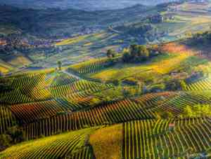 伤心的伤怎么写的