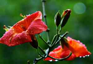 怕冷是什么原因怎么调理