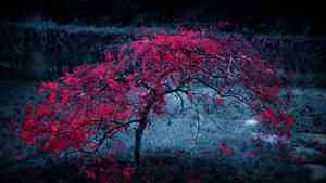 白字草书书法怎么写