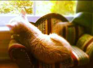 从一到十的红包祝福孩子