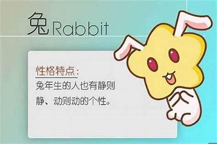 属龙生肖今年运程