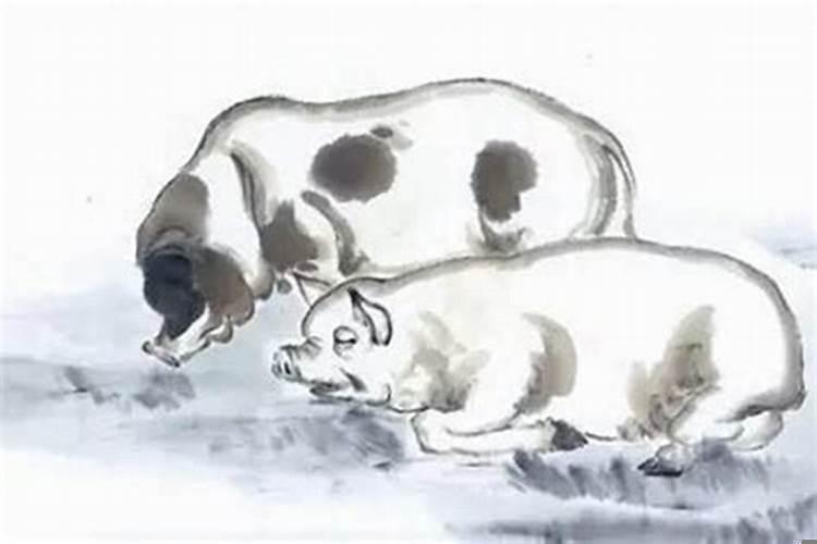 十二生肖哪天出生最好命？属鸡几月出生的最好女孩