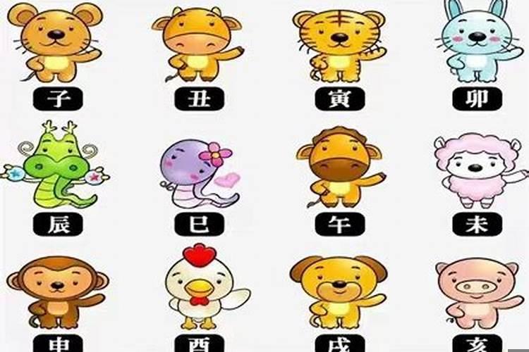 最会说话的是什么生肖？情商超级低的生肖是哪些？