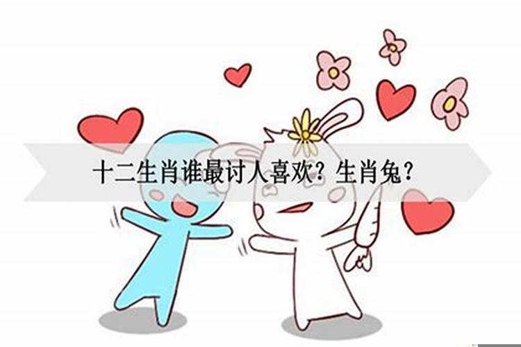 十二生肖谁最会讨人欢心
