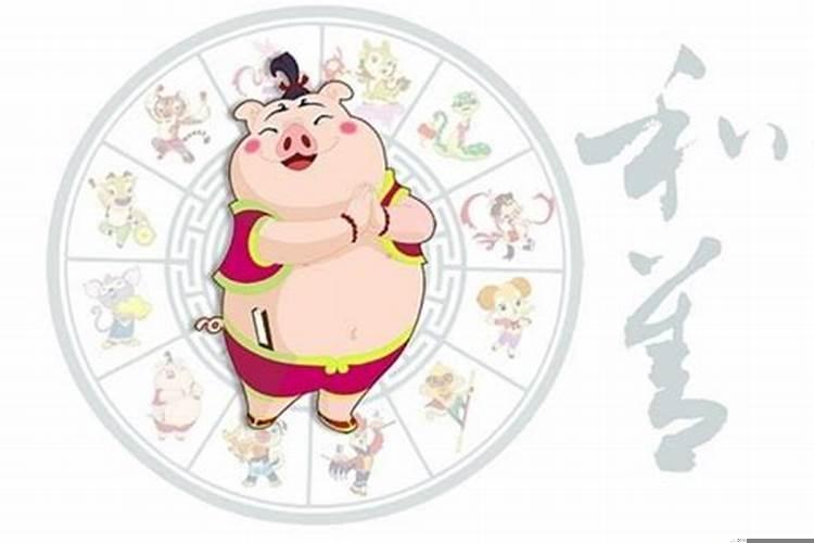 属猪人是什么命运呢