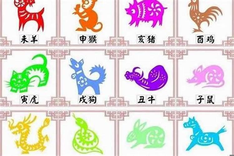 男属龙与什么属相相配婚姻