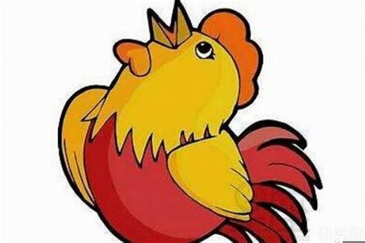 属鸡和属鸡的婚姻如何