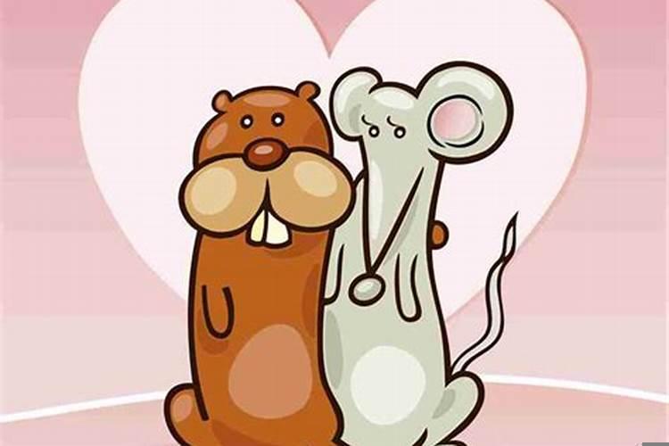 最有夫妻缘分的生肖配对