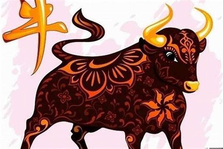 很容易让女人爱上的生肖男