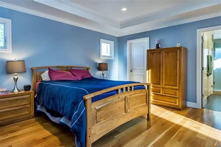 属狗卧室什么颜色最好