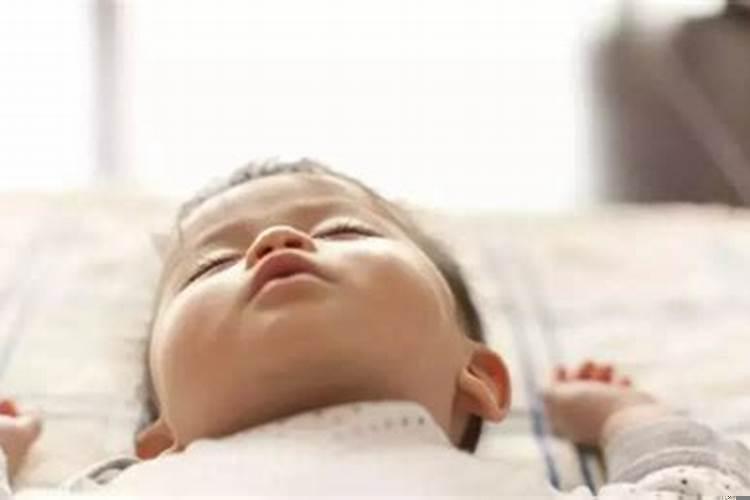 父亲属狗母亲属蛇孩子属什么好