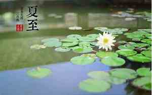 夏至出生好