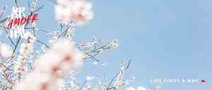 二年级写话春天来了100字