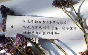 两年学会说话,一生学会闭嘴图片