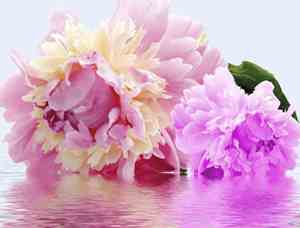 除夕值班的心情说说