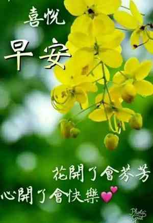 我会给你幸福歌曲
