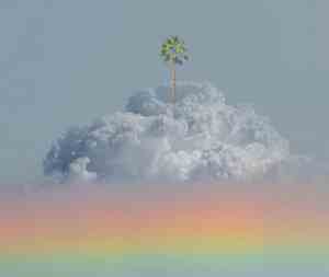 有关随心的唯美语句