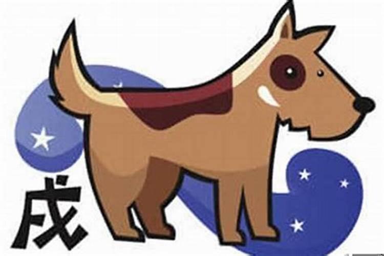 属狗2024年运势及运程详解