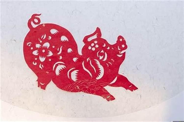 属猪的今年气运