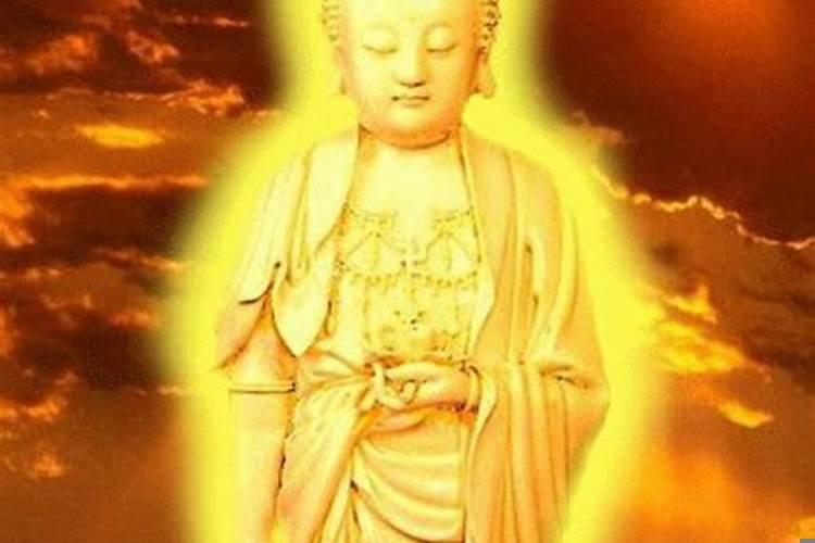 农历11月的本命佛