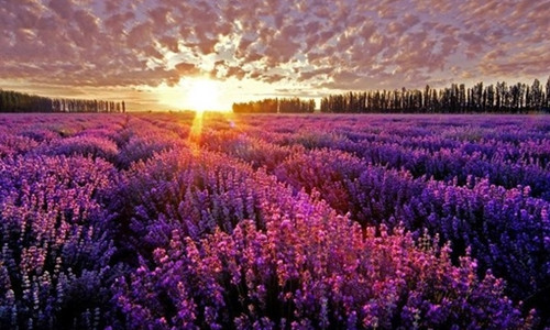 没错，你就是这样的天秤座