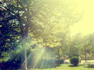 足球队队名和口号