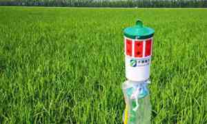 中国最厉害的省份排名