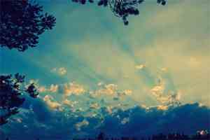 夏洛特的网观后感100字英语