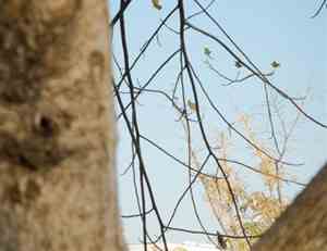 女神队口号大全八个字