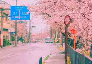 描写少女美丽外貌的句子超长