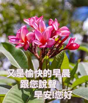 送给女神的暖心话