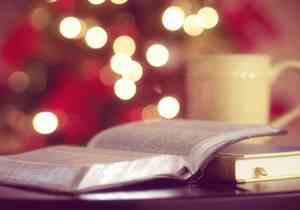 赵露思的粉丝名叫什么