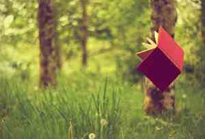 岳飞的名言关于珍惜时间