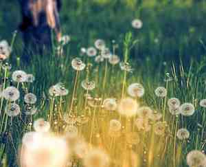 祖国的美丽山川有哪些名字